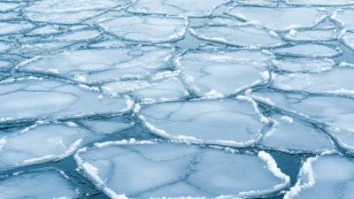 In Focus: Navigating a Multipolar World